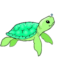 turtle